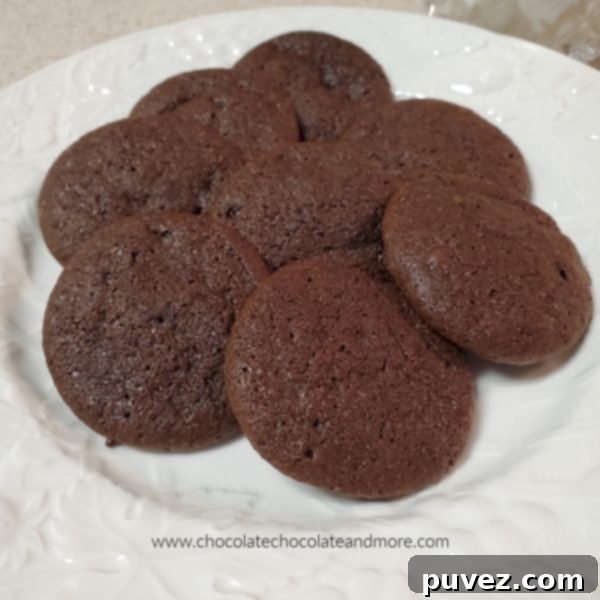 A plate of freshly baked, dark chocolate drop cookies, looking incredibly moist and chewy, ready to be enjoyed.