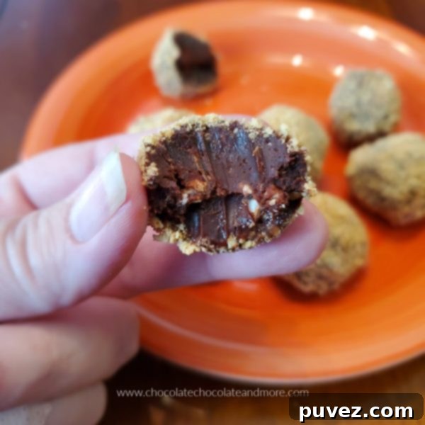 a partially eaten s'mores truffle with an orange plate of truffles behind it