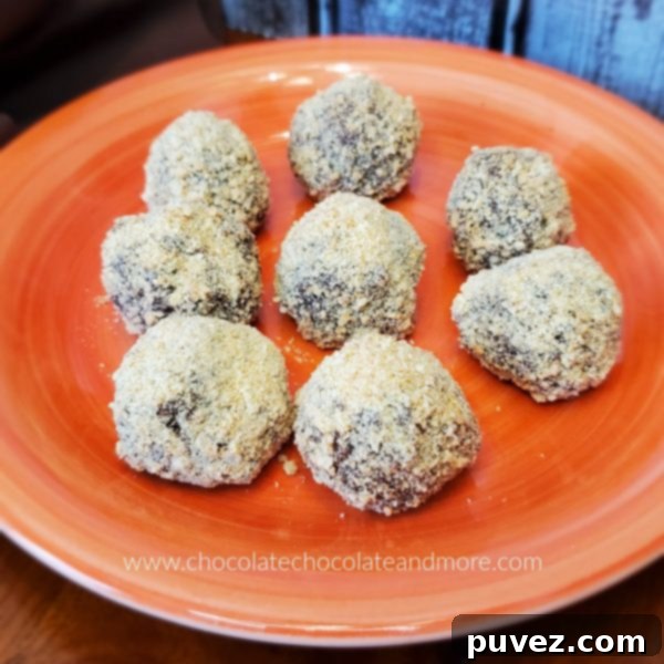 an orange plate with several truffles coated in graham cracker crumbs