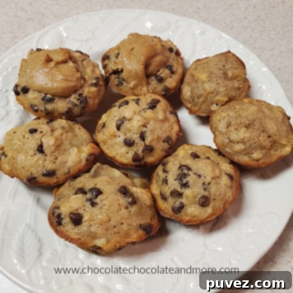 A vibrant display of several mini muffins on a pristine white plate, showcasing various healthy flavors and textures.