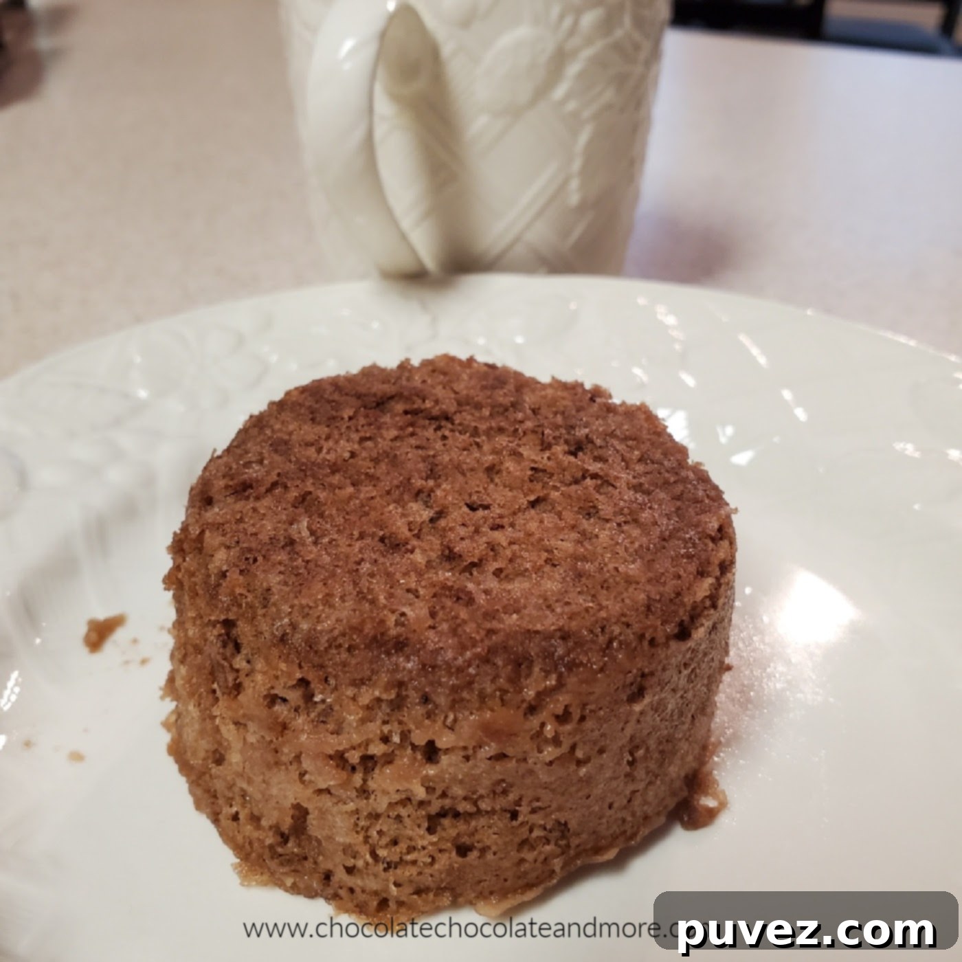 A small round chocolate mug cake on a plate, with a rustic ceramic mug in the background.