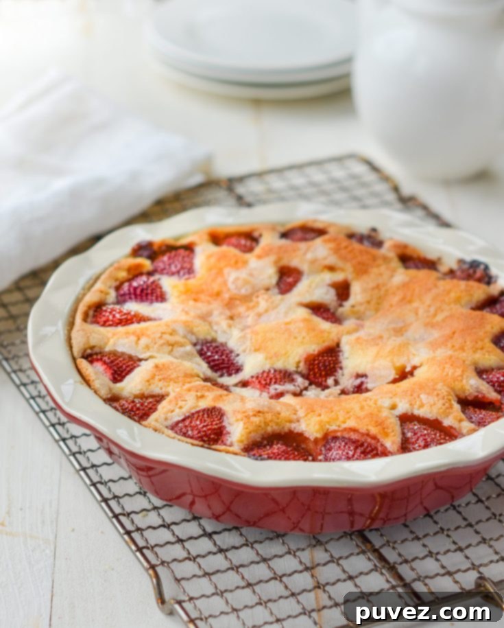 Fresh Strawberry Cake, a stunning dessert.