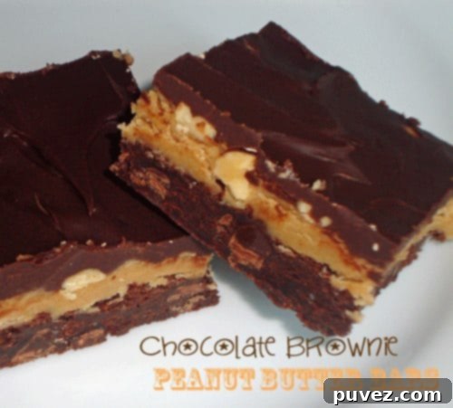 Chocolate Brownie Peanut Butter Bars