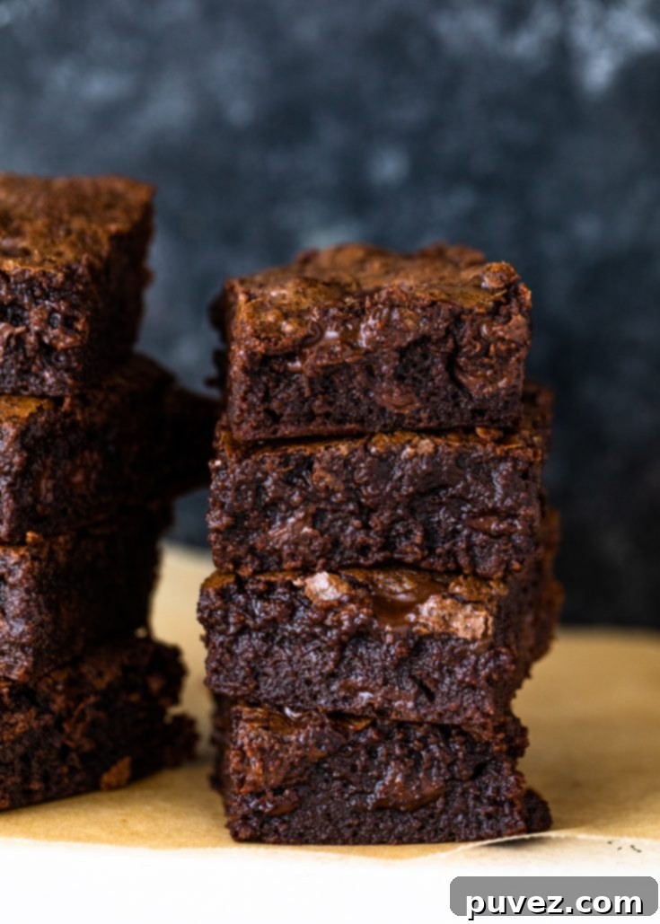 Easy One Bowl Fudgy Cocoa Brownies