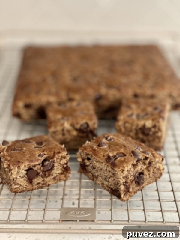 Chocolate Chip Banana Bread Cake on a cooling rack, freshly baked and ready to be sliced