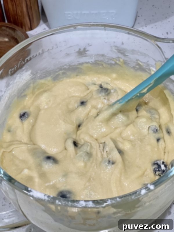 Cake batter with fresh blueberries gently folded in, ready for baking.