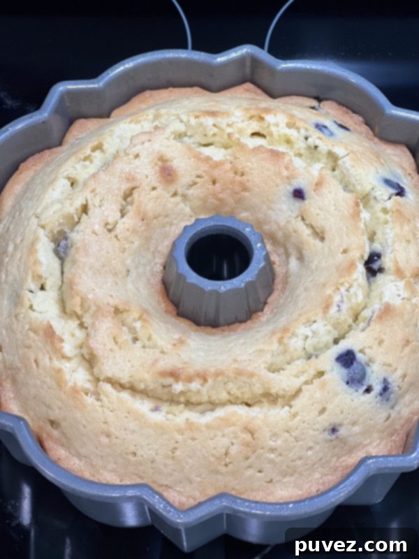 Lemon Blueberry Pound Cake cooling in the bundt pan after baking.