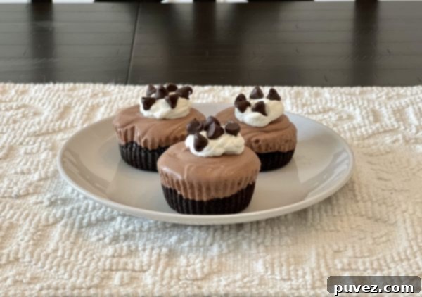 Finished No-Bake Chocolate Pie Cups with whipped cream and chocolate chips, ready to serve