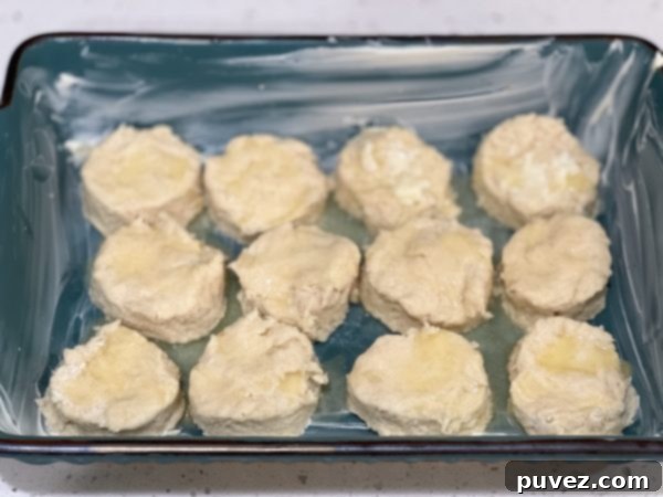 Cut biscuit dough arranged in a buttered baking dish, ready for the oven