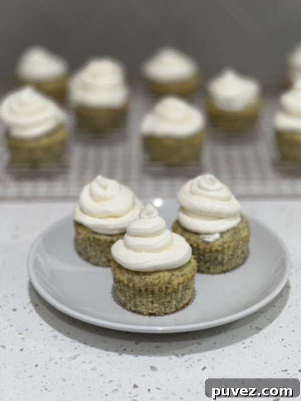 Beautifully frosted Lemon Poppyseed Cupcakes with smooth lemon buttercream.