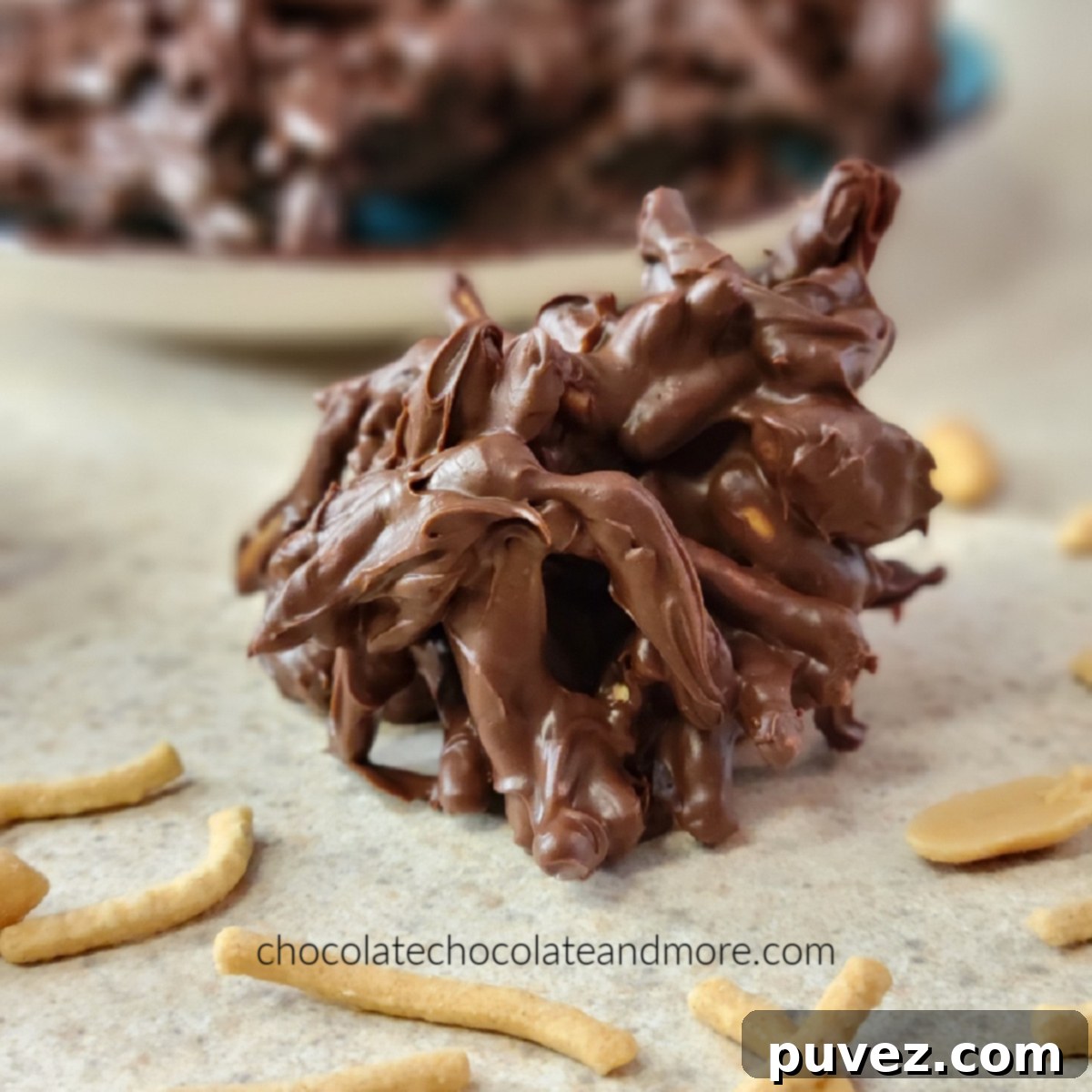 A close-up shot of a single, perfectly crafted chocolate haystack, highlighting its rich texture and appealing shape.
