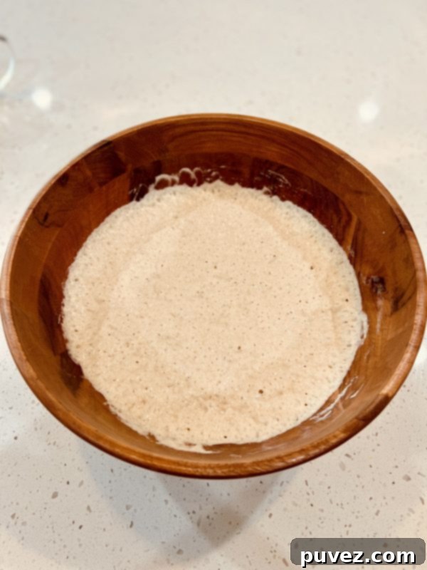 Dough after rising for 5 hours