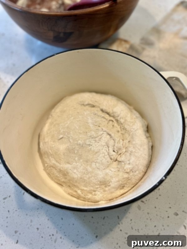 dough ball sitting in a dutch oven