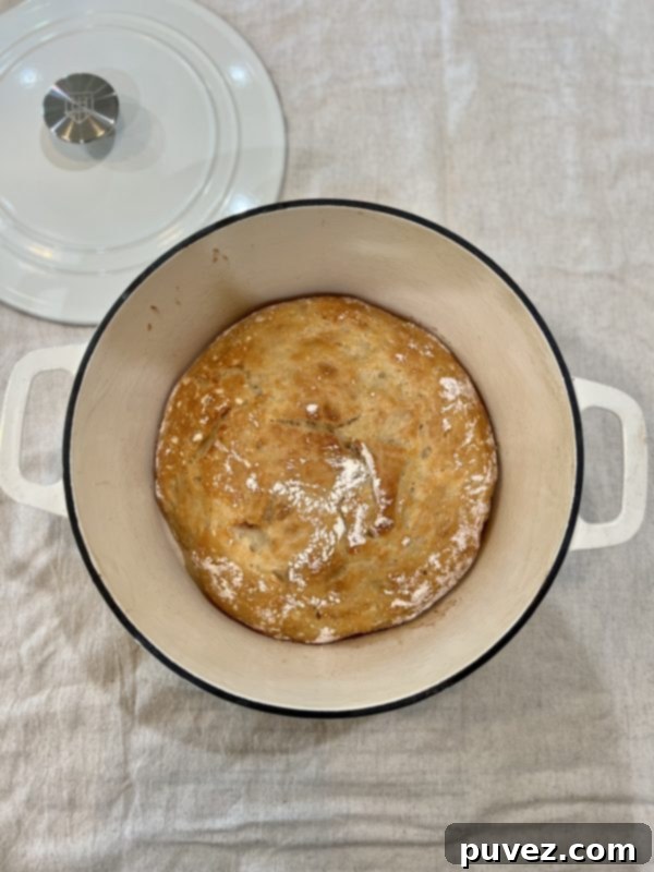 bread in dutch oven ofter baking