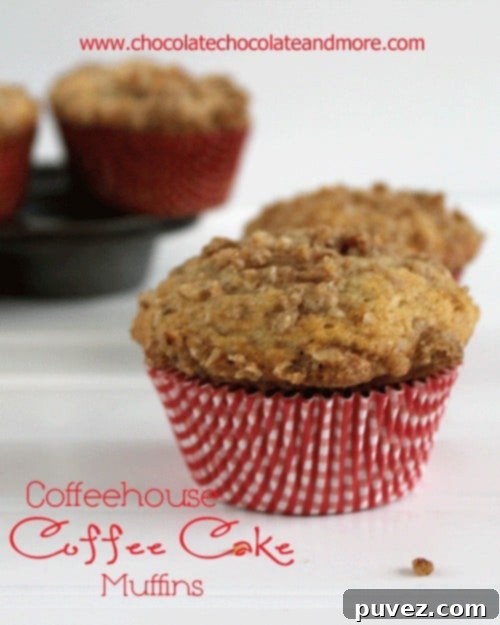 Delicious Coffeehouse Coffee Cake Muffins with crumble topping