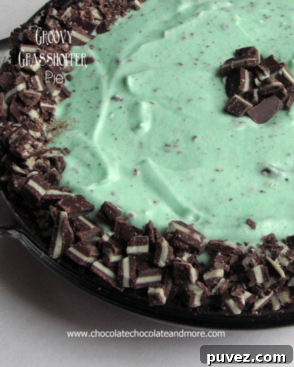 Grasshopper Pie-Chocolate Cookies, Andes Mint Candies and Creme de Menthe Combine to make this delightful frozen treat.