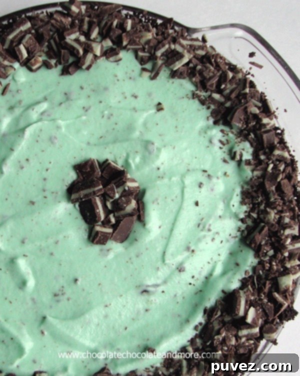 Grasshopper Pie-Chocolate Cookies, Andes Mint Candies and Creme de Menthe Combine to make this delightful frozen treat.