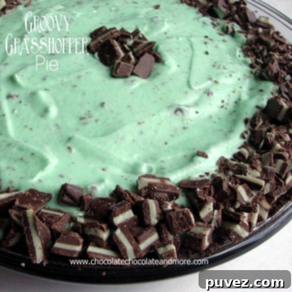 Grasshopper Pie-Chocolate Cookies, Andes Mint Candies and Creme de Menthe Combine to make this delightful frozen treat.
