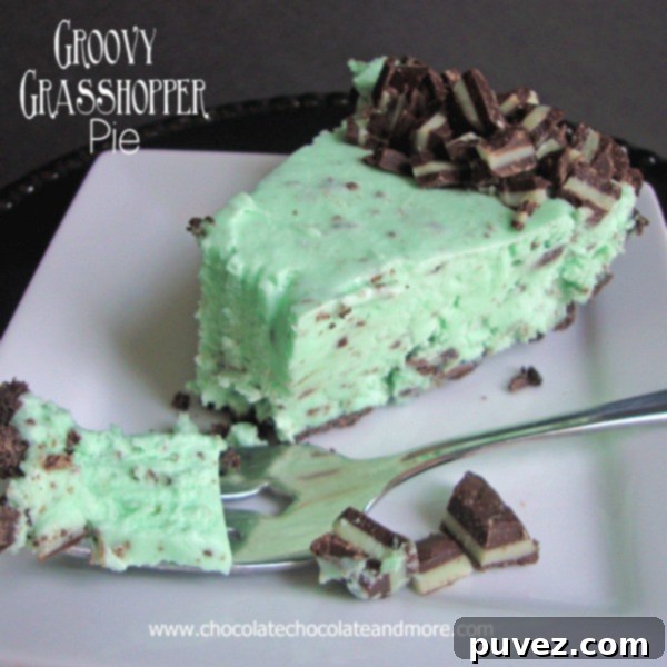 Grasshopper Pie-Chocolate Cookies, Andes Mint Candies and Creme de Menthe Combine to make this delightful frozen treat.