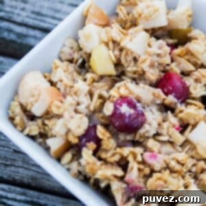 Apple baked oatmeal with cranberries in a square white bowl.
