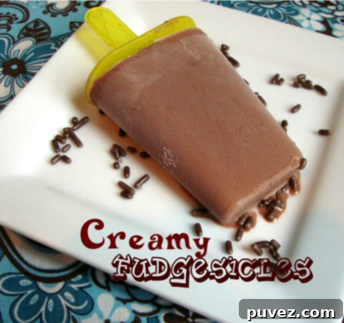 Fudgesicles and Chocolate Ice Cubes Footer Image