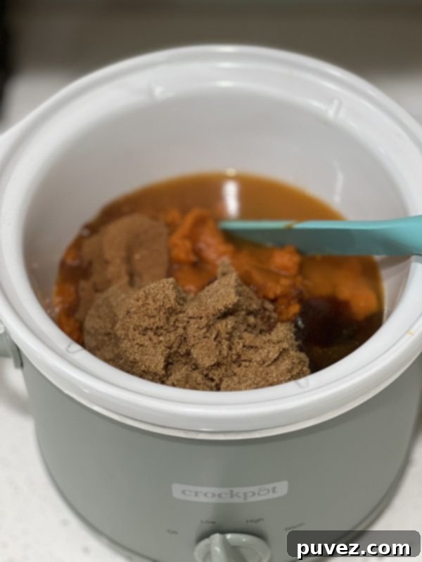 The ingredients for the pumpkin butter in a crockpot