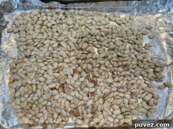 Cinnamon Sugar Pumpkin Seeds dumped on a cookie sheet lined with aluminum foil
