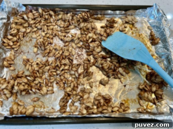 Cinnamon Sugar Pumpkin Seeds after baking on a cookie sheet