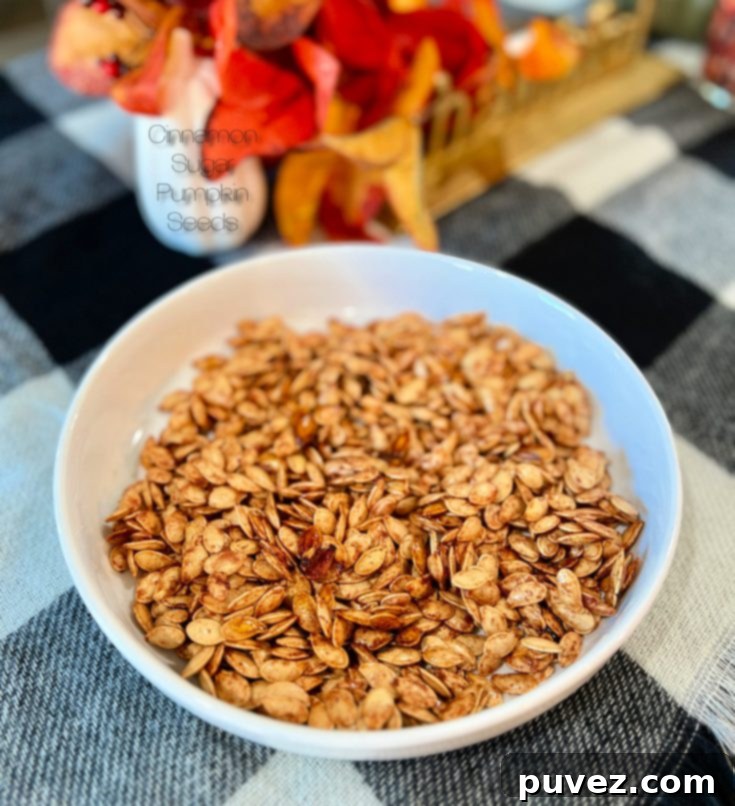 Sweet and Spiced Pumpkin Seeds 2 Cinnamon Sugar Pumpkin Seeds