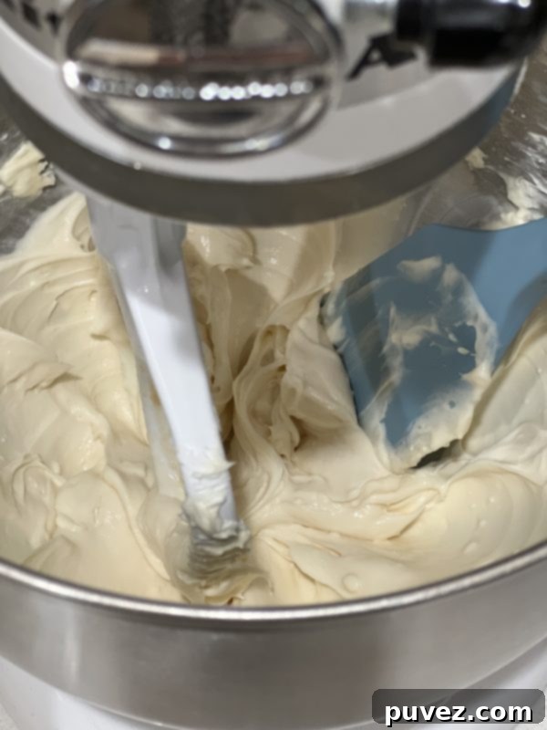 cheesecake filling in a stand mixer