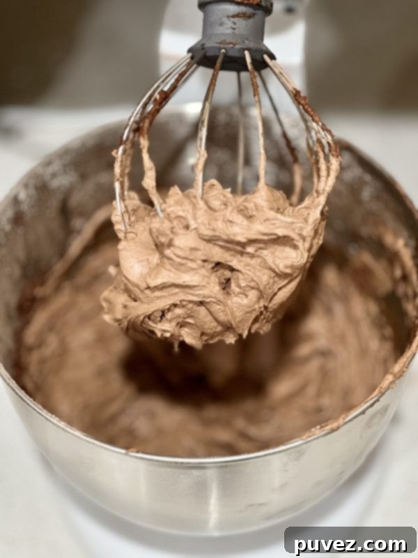 chocolate butter cream frosting after being whipped in stand mixer 