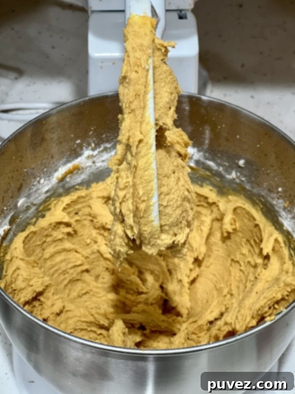 Soft Pumpkin Chocolate Chip Cookies dough after mixing wet and dry ingredients, showing its light and fluffy texture.