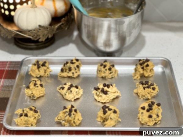 Soft Pumpkin Chocolate Chip Cookies dough dropped onto a cookie sheet before baking, with extra chocolate chips pressed on top.