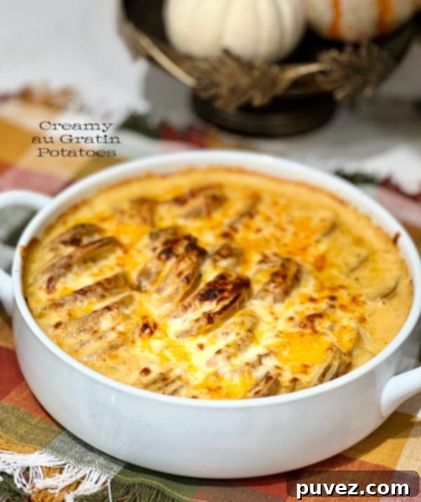 Creamy au Gratin Potatoes in the baking dish, golden and bubbly