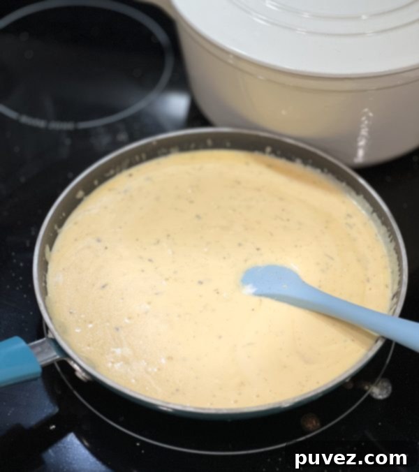 cheesy sauce simmering on a stove, rich and creamy