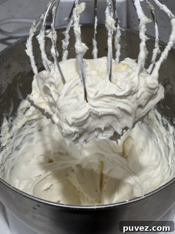the frosting in a mixing bowl with the whisk attachment