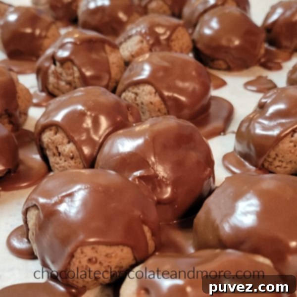 Several round, dark chocolate cookies generously topped with glossy chocolate icing, arranged artfully on a cooling rack.