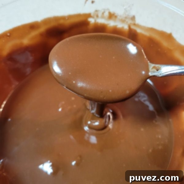 A pristine bowl of thick, glossy chocolate icing, ready to be applied to the freshly baked cookies.