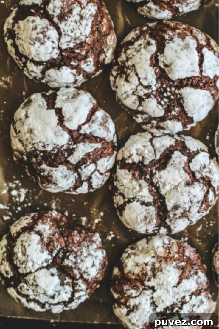 Rich and fudgy Chocolate Crackle Cookies, coated in powdered sugar.