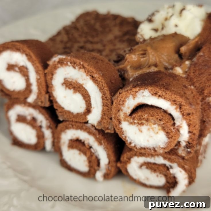 Swiss Roll Mousse Cake - A decadent chocolate dessert.