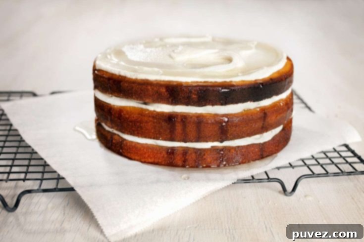 Basic 3-Layer Cake From Scratch - A fundamental baking recipe.