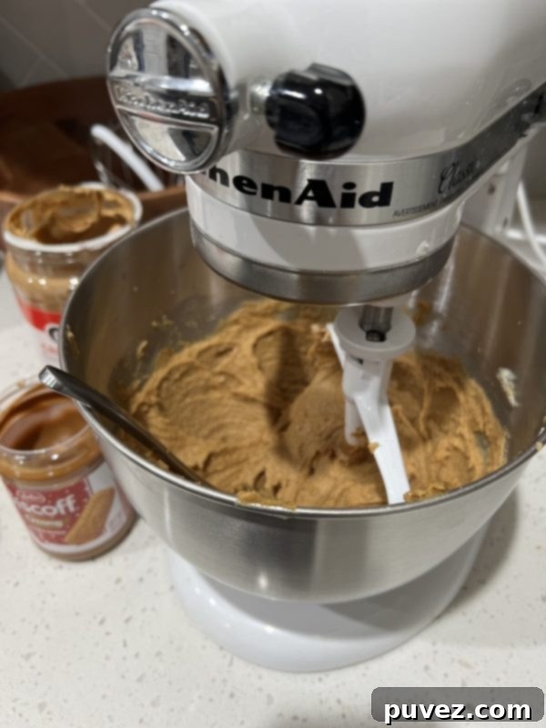 A mixing bowl with wet ingredients (butter, sugars, cookie butter, peanut butter, egg, vanilla) fully combined and creamy