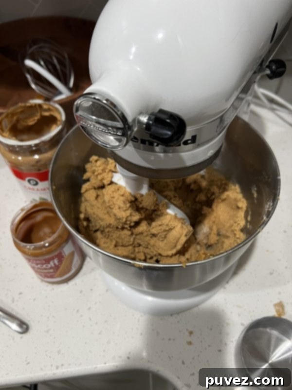 The finished cookie butter cookie dough in a mixing bowl, ready for rolling