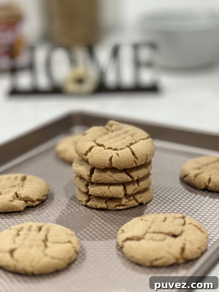 Pinterest Pin for Cookie Butter Cookies