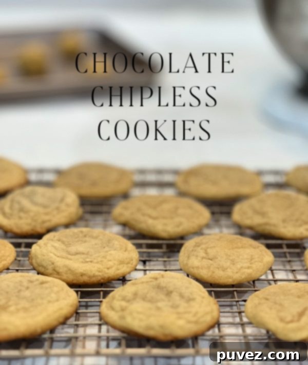 Chocolate Chipless Cookies on a pristine white background