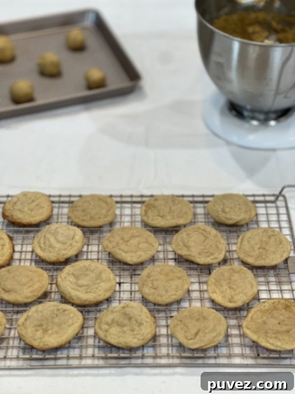 Chocolate Chipless Cookies on a cooling rack with a standmixer and cookie tray behind it
