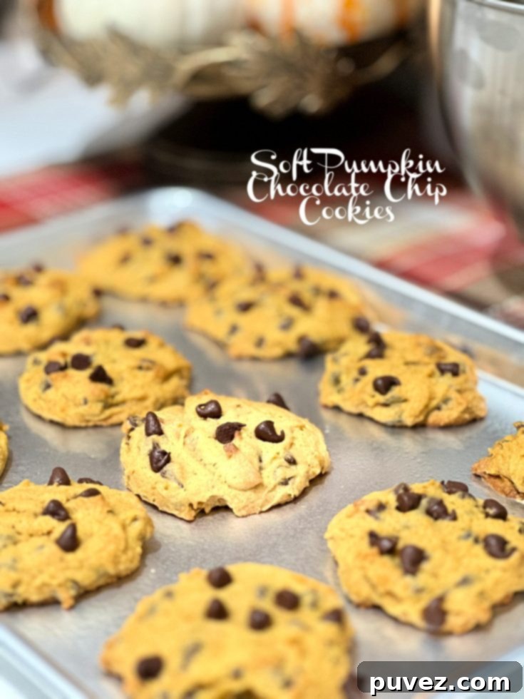 Soft Pumpkin Chocolate Chip Cookies