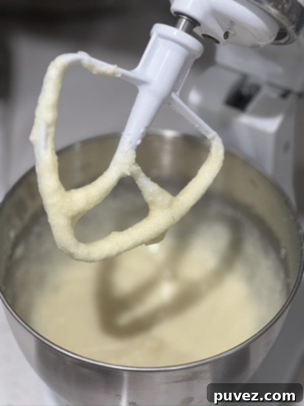the ricotta butter and sugar mixture after beating for 4-5 minutes