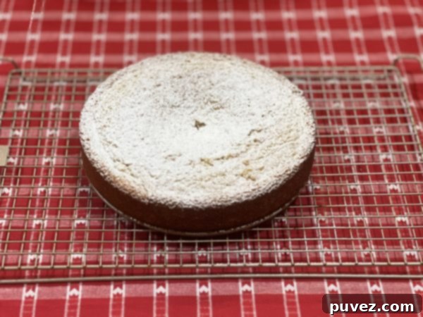 Freshly baked Italian Ricotta Cake cooling on a wire rack