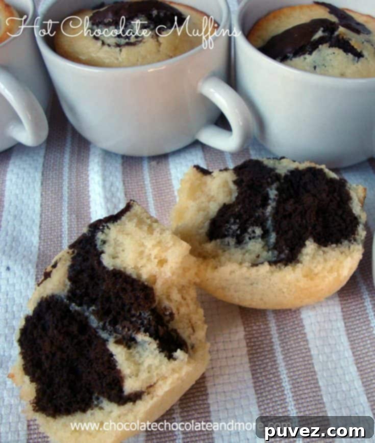 Cozy Cocoa Muffins 2 Hot Chocolate Muffins
